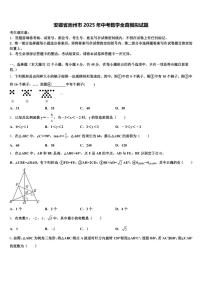 安徽省池州市2025年中考数学全真模拟试题含解析