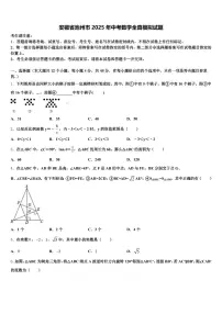 安徽省池州市2025年中考数学全真模拟试题含解析