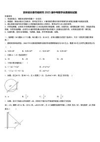 吉林省长春市榆树市2025届中考数学全真模拟试题含解析