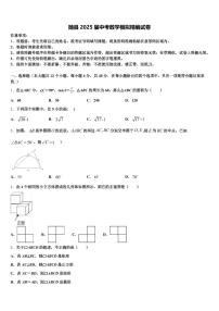 随县2025届中考数学模拟精编试卷含解析