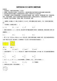 拉萨市尼木县2025届中考二模数学试题含解析
