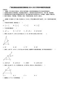 广西壮族自治区百色市西林县2024-2025学年中考数学仿真试卷含解析