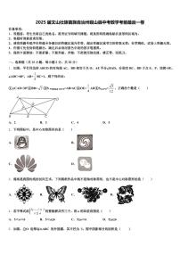 2025届文山壮族苗族自治州砚山县中考数学考前最后一卷含解析