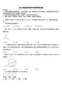2025届巢湖市和县中考数学模拟试题含解析