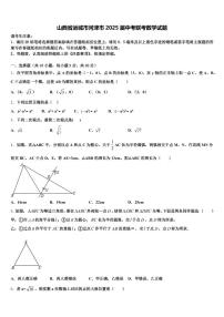 山西省运城市河津市2025届中考联考数学试题含解析