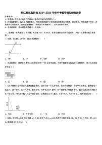 铜仁地区石阡县2024-2025学年中考数学模拟预测试卷含解析