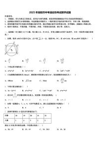 2025年岳阳市中考适应性考试数学试题含解析