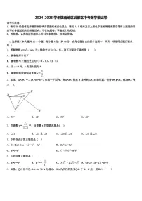2024-2025学年陇南地区武都区中考数学模试卷含解析