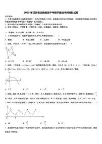 2025年甘肃省定西地区中考数学最后冲刺模拟试卷含解析