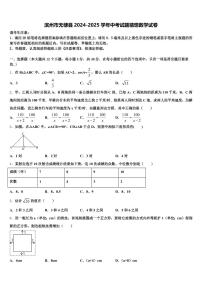 滨州市无棣县2024-2025学年中考试题猜想数学试卷含解析
