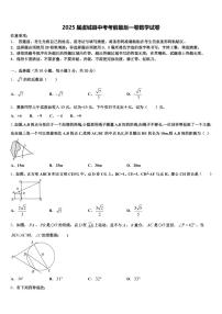 2025届虞城县中考考前最后一卷数学试卷含解析