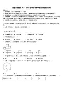 安康市旬阳县2024-2025学年中考数学最后冲刺模拟试卷含解析