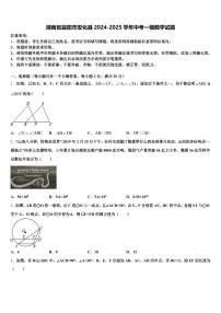 湖南省益阳市安化县2024-2025学年中考一模数学试题含解析