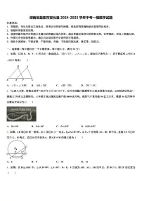 湖南省益阳市安化县2024-2025学年中考一模数学试题含解析