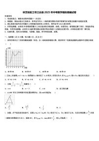 林芝地区工布江达县2025年中考数学模拟精编试卷含解析