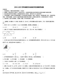 2024-2025学年咸阳市长武县中考五模数学试题含解析