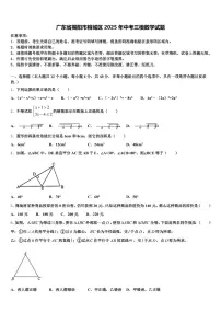 广东省揭阳市榕城区2025年中考三模数学试题含解析