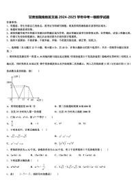 甘肃省陇南地区文县2024-2025学年中考一模数学试题含解析