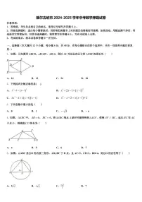 额尔古纳市2024-2025学年中考数学押题试卷含解析