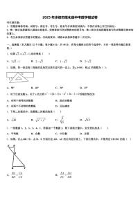 2025年承德市隆化县中考数学模试卷含解析