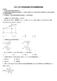 2024-2025学年湖北省荆门市中考四模数学试题含解析