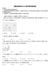 西藏日喀则地区2025届中考数学模拟试题含解析