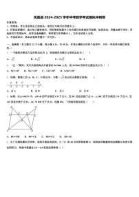 凤凰县2024-2025学年中考数学考试模拟冲刺卷含解析