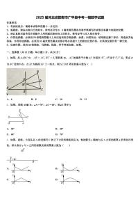2025届河北省邯郸市广平县中考一模数学试题含解析