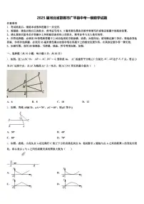2025届河北省邯郸市广平县中考一模数学试题含解析