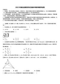 2025年湖北省黄冈市红安县中考联考数学试卷含解析