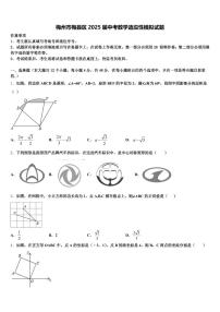 梅州市梅县区2025届中考数学适应性模拟试题含解析