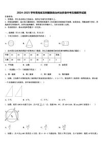 2024-2025学年青海省玉树藏族自治州治多县中考五模数学试题含解析