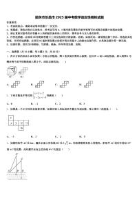 韶关市乐昌市2025届中考数学适应性模拟试题含解析