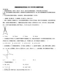 西藏昌都地区贡觉县2025年中考三模数学试题含解析