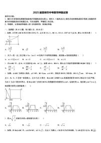 2025届昆明市中考数学押题试卷含解析