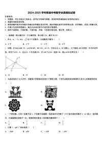 2024-2025学年黟县中考数学全真模拟试卷含解析