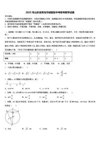 2025年山东省青岛市城阳区中考联考数学试题含解析