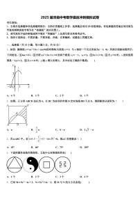 2025届沛县中考数学最后冲刺模拟试卷含解析