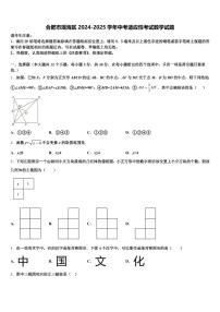 合肥市瑶海区2024-2025学年中考适应性考试数学试题含解析