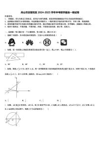舟山市定普陀区2024-2025学年中考数学最后一模试卷含解析