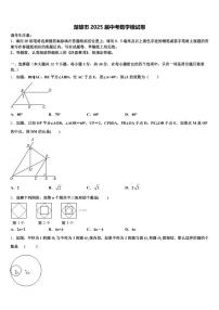 楚雄市2025届中考数学模试卷含解析