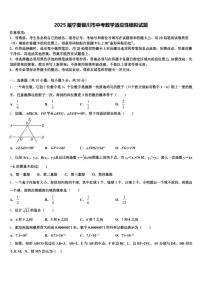 2025届宁夏银川市中考数学适应性模拟试题含解析