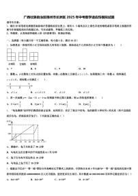 广西壮族自治区梧州市长洲区2025年中考数学适应性模拟试题含解析
