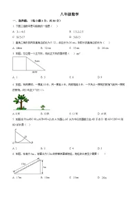 安徽省宿州市第十一中学2024-2025学年八年级上学期第二次月考数学试卷