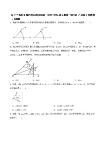 初中人教版（2024）14.2 三角形全等的判定巩固练习