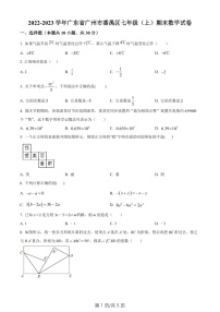 广东省广州市番禺区2022-2023学年七年级上学期期末数学试卷（含答案）
