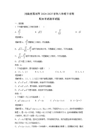 河南省漯河市2024-2025学年八年级下学期期末考试数学试题（解析版）