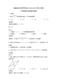 河南省驻马店市平舆县2024-2025学年八年级下学期期末考试数学试题（解析版）