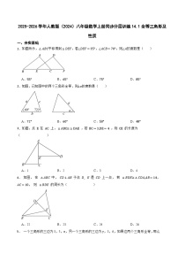 初中数学人教版（2024）八年级上册全等三角形精练