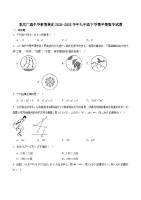 重庆市广益中学校2024-2025学年九年级下学期期中数学试卷(含答案)